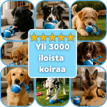 Vadelmapallo - Interaktiivinen koiranlelu